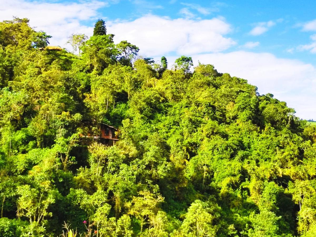 Finca Petrona Calacali 外观 照片