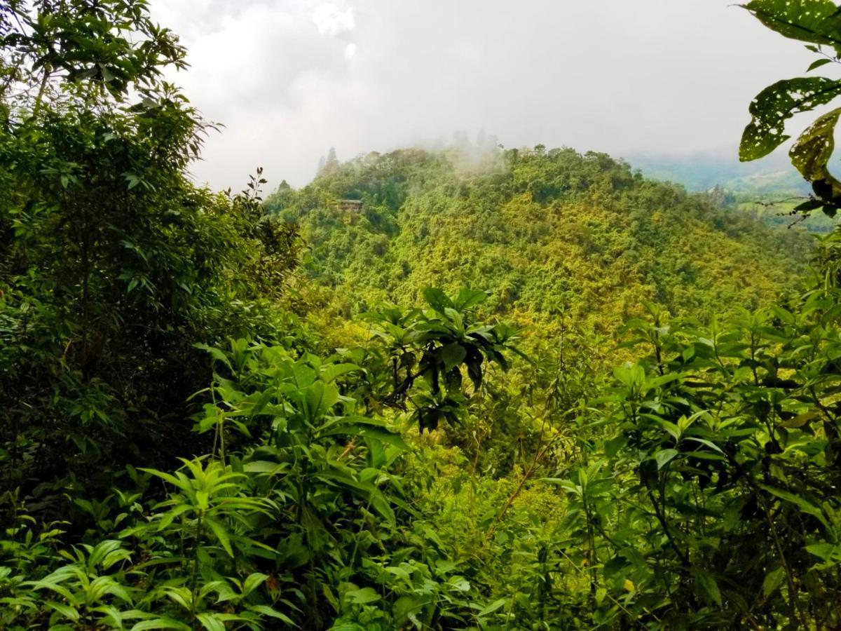 Finca Petrona Calacali 外观 照片