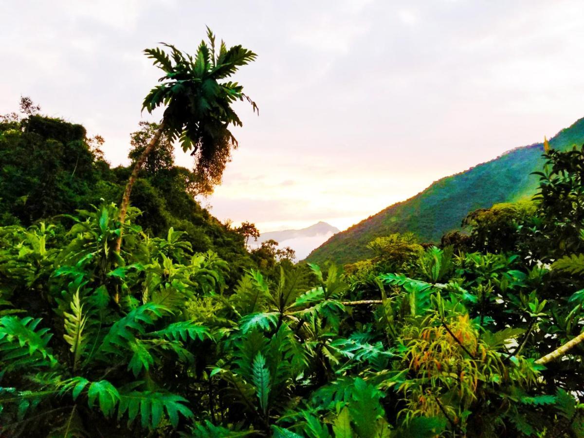 Finca Petrona Calacali 外观 照片
