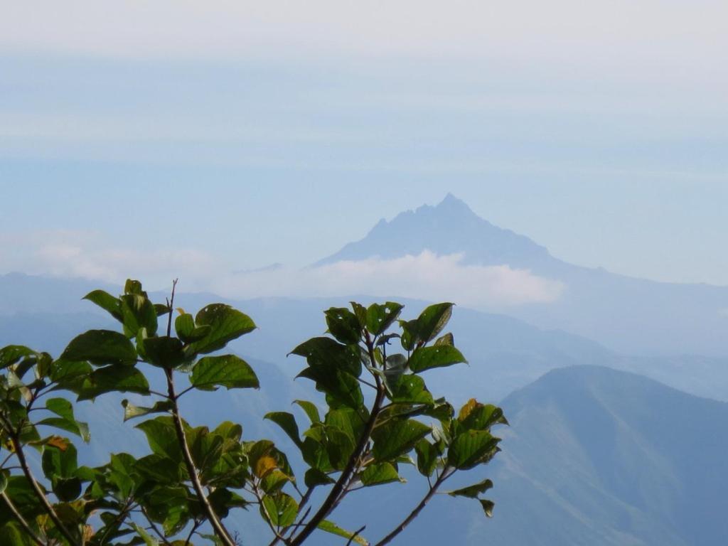 Finca Petrona Calacali 外观 照片