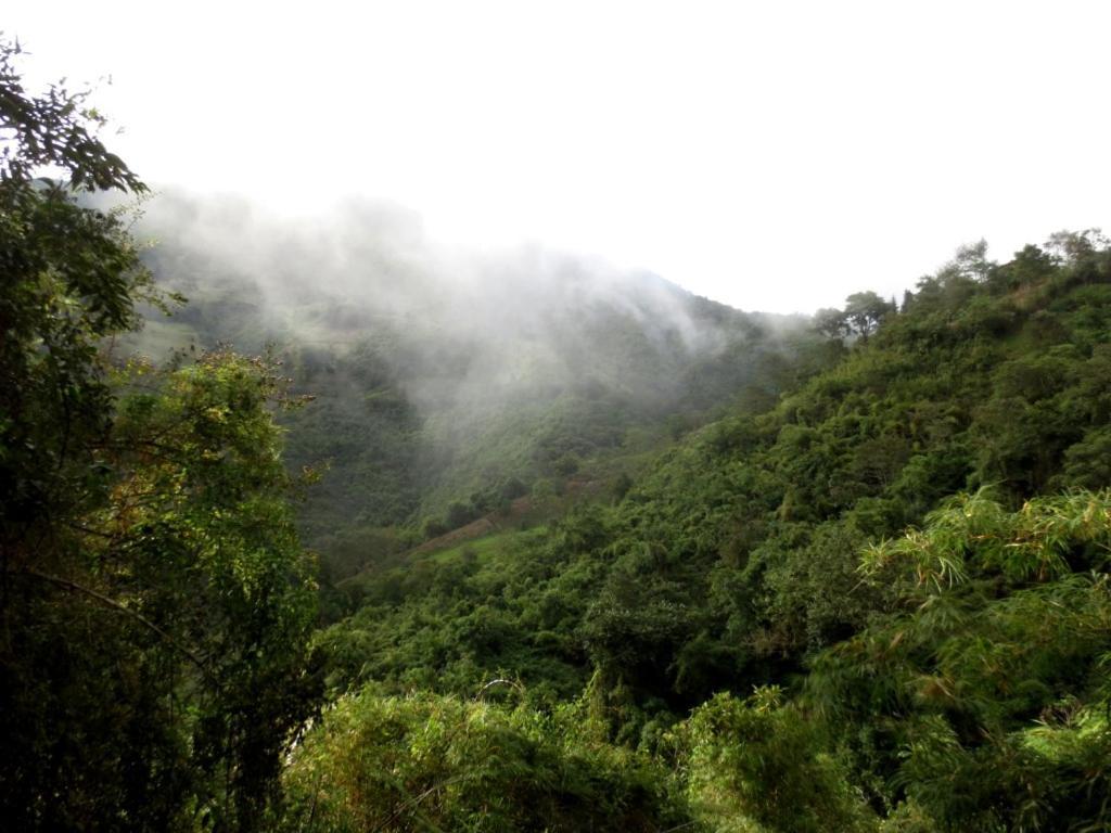 Finca Petrona Calacali 外观 照片