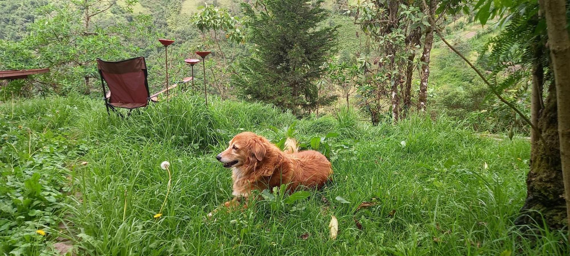 Finca Petrona Calacali 外观 照片