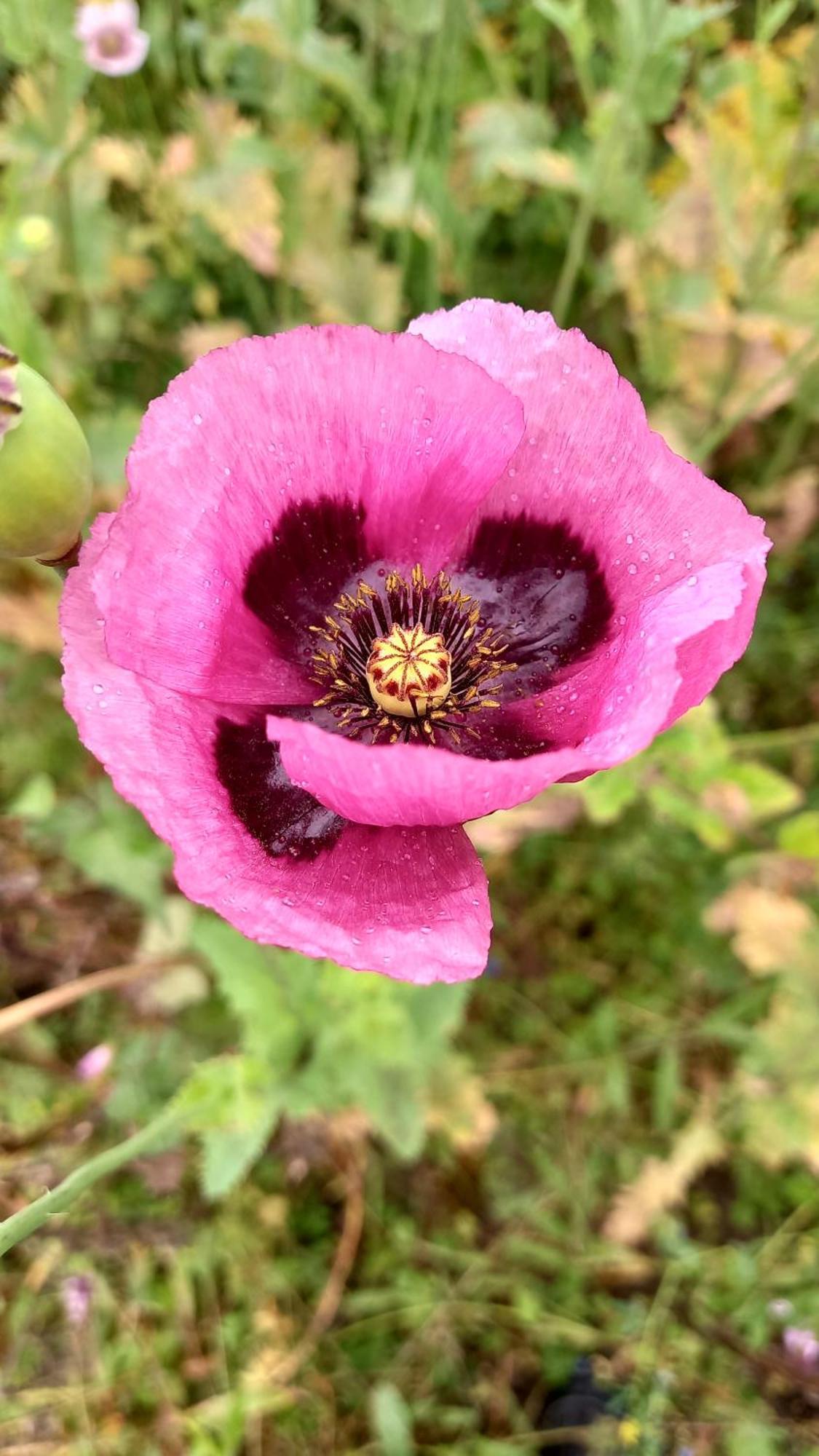 Finca Petrona Calacali 外观 照片