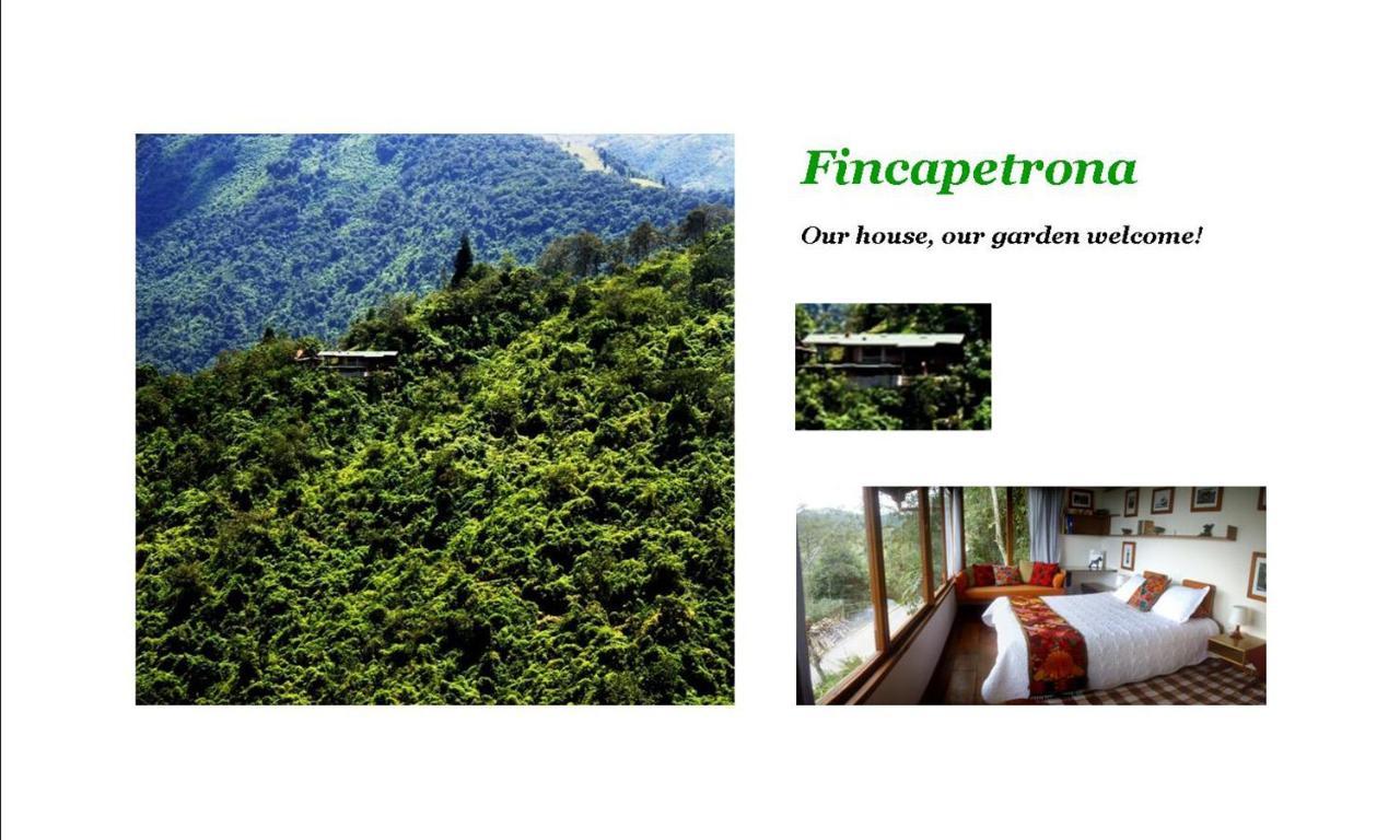 Finca Petrona Calacali 外观 照片